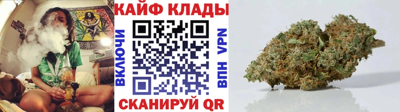 Где купить Звенигород Псилоцибиновые грибы  АМФ  Alpha-PVP  ГАШИШ  Меф мяу мяу  МАРИХУАНА  Cocaine 
