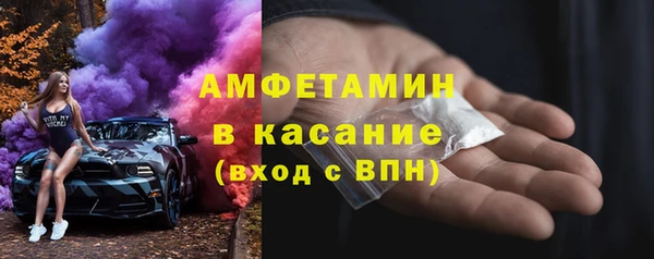 прущие грибы Балахна