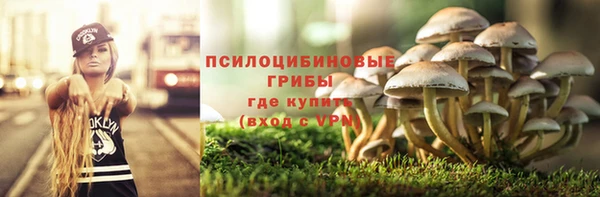трава Баксан
