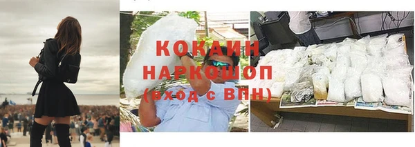 прущие грибы Балахна