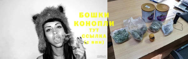 прущие грибы Балахна