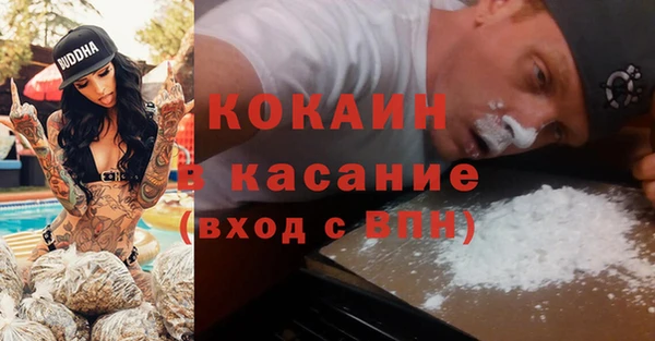 прущие грибы Балахна