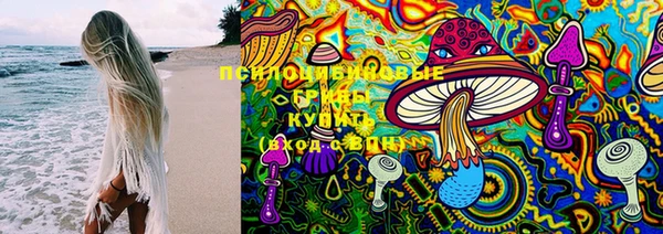 прущие грибы Балахна