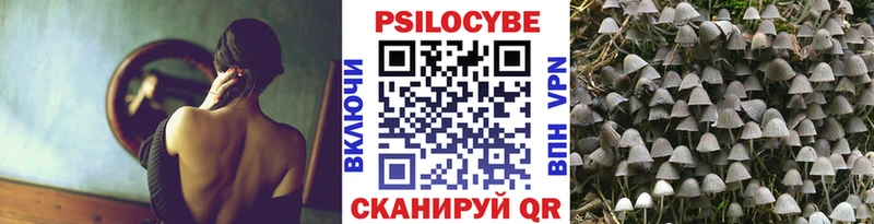 сколько стоит  Звенигород  Галлюциногенные грибы прущие грибы 